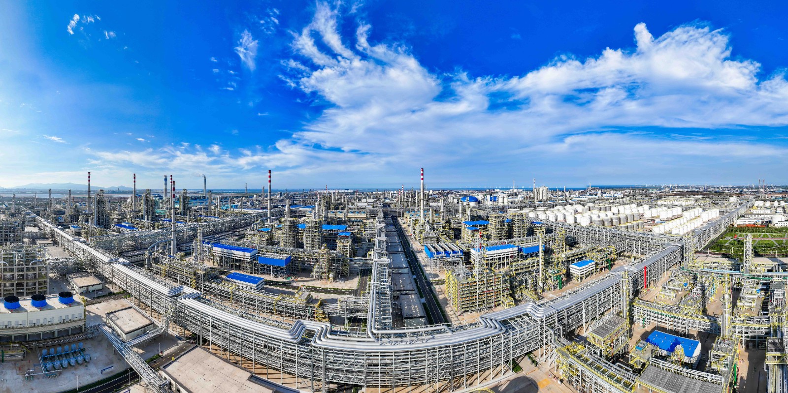 1746771238696281.jpg 1746771238696281.jpg